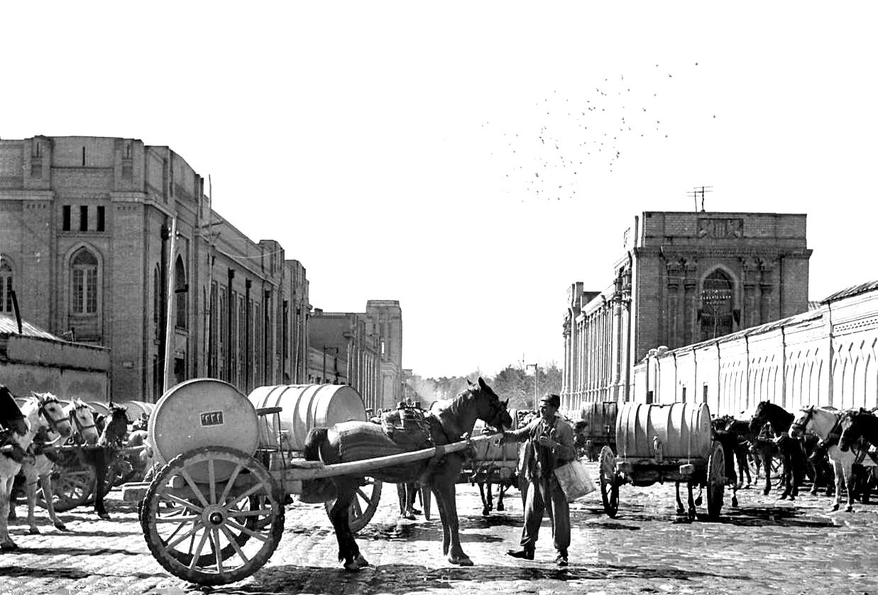 ماجرای توقیف درشکهها و تجمع سورچیها | چرا تردد درشکهها در تهران ممنوع شد؟