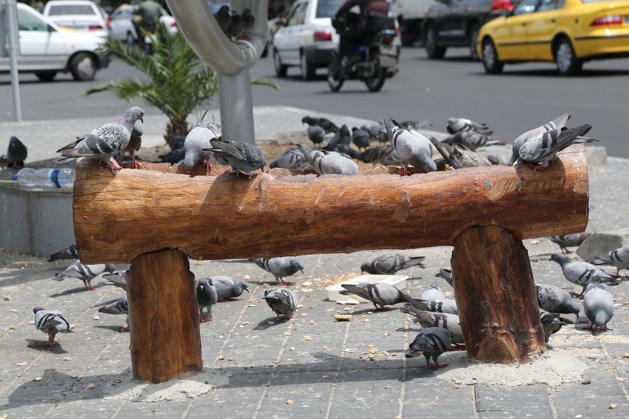 ایستگاه تماشایی فرود و پرواز