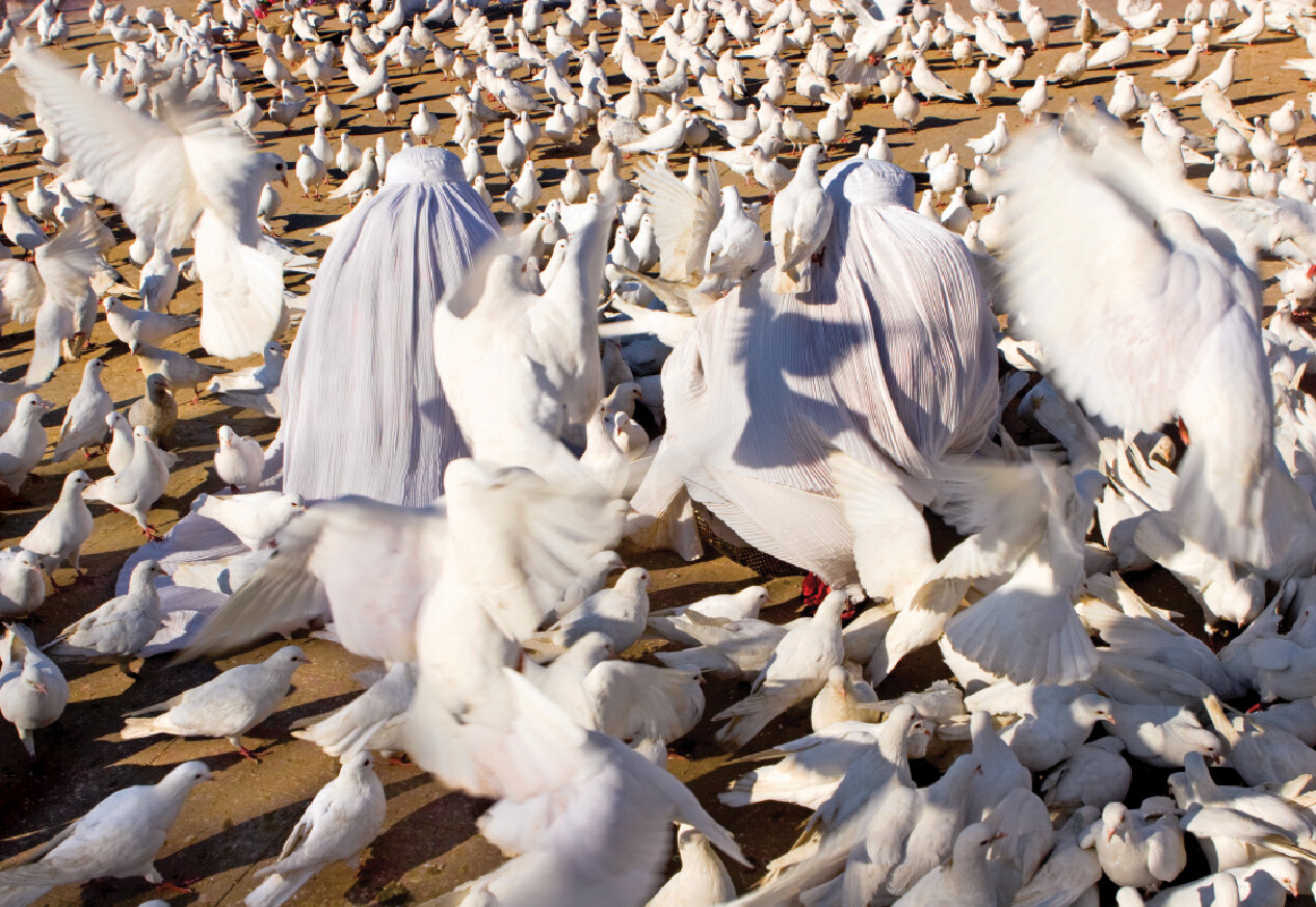 وقتی «مزار» جان شریف ایران بود | بیا بریم به مزار | آیا میدانستید ملاممدجان ترانه افغانی، همین مولانای ماست؟