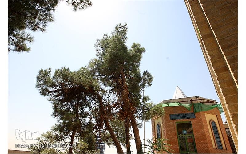 تصویر تاریخی از امامزاده عزیز(ع) در دوران قاجار | اوین اطراف این امامزاده شکل گرفت