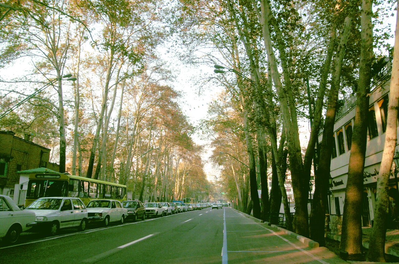خیابان ولیعصر(عج)