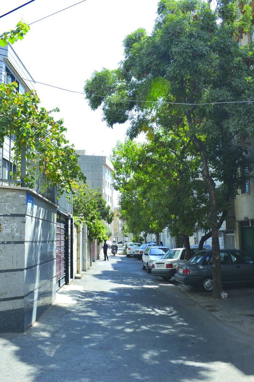 محله مَنگل کجاست؟ | این محله پارک آبی طبیعی داشت | تفرجگاه شاهزادگان در جنوب تهران