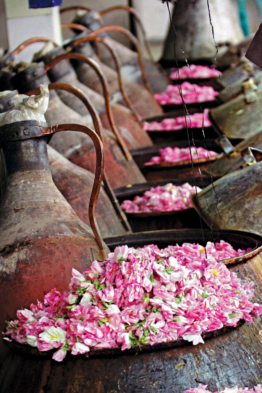 سفر به خوشبوترین شهر دنیا که در ایران است
