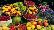 میوه های تابستانی ارزان می شود | تقاضا برای خرید میوه کاهش یافت؟ | قیمت روز توت سفید، شاتوت، توت فرنگی، زردآلو، طالبی و ملون را ببینید