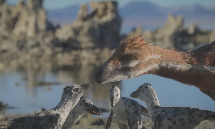 جزئیات جذاب زندگی دایناسورها را تماشا کنید! | آیا دایناسورها هم رمانتیک بودند؟
