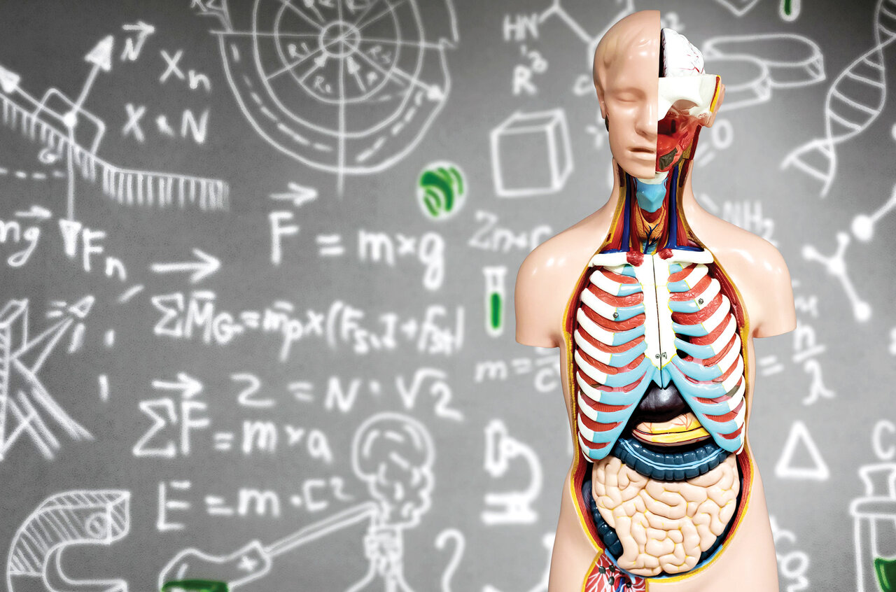 ماجرای یک کیست ساده اما پرحاشیه | هیدروسل چیست و چگونه درمان میشود؟