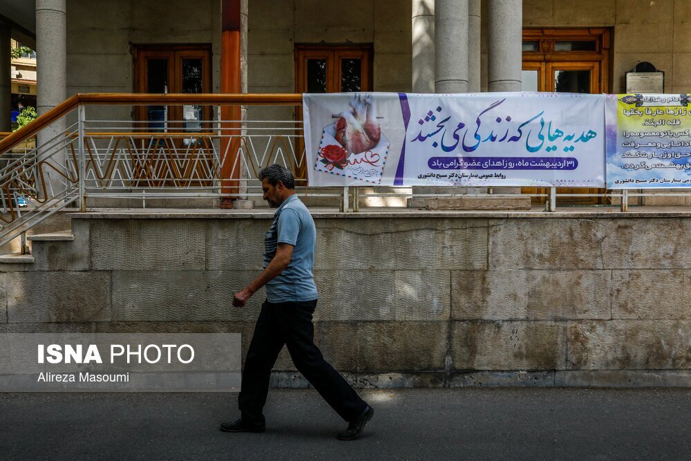 ایران امپراتور پیوند کبد در دنیاست | 8 میلیون و 500 هزار ایرانی کارت اهدای عضو دارند