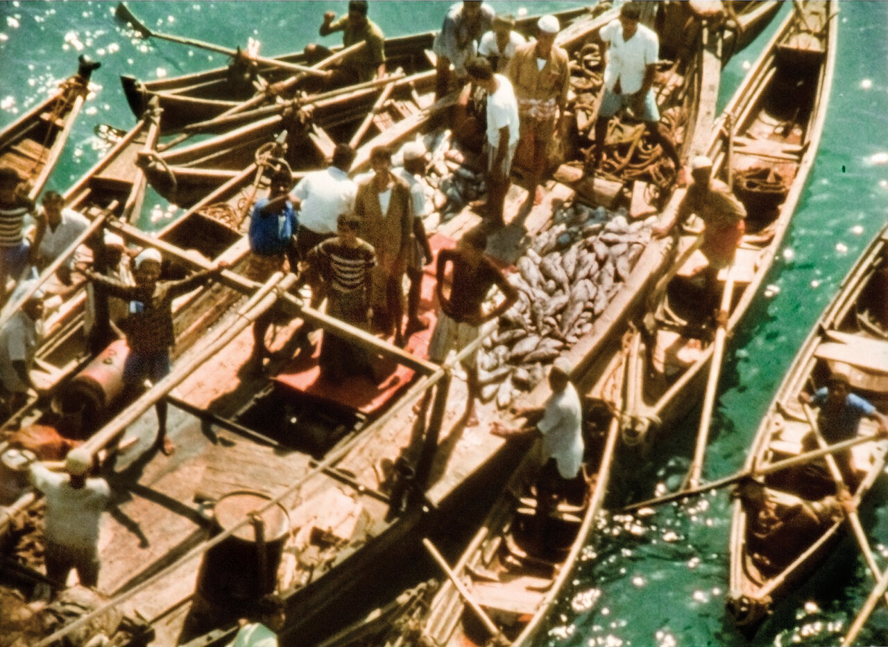 داشتن خانهای در اصفهان رویای کارگردان نامدار فرانسوی | او با باد صبا عاشق ایران شد |
نقد عجیب دولت محمدرضا شاه پهلوی به یک مستند ماندگار تاریخ ایران!