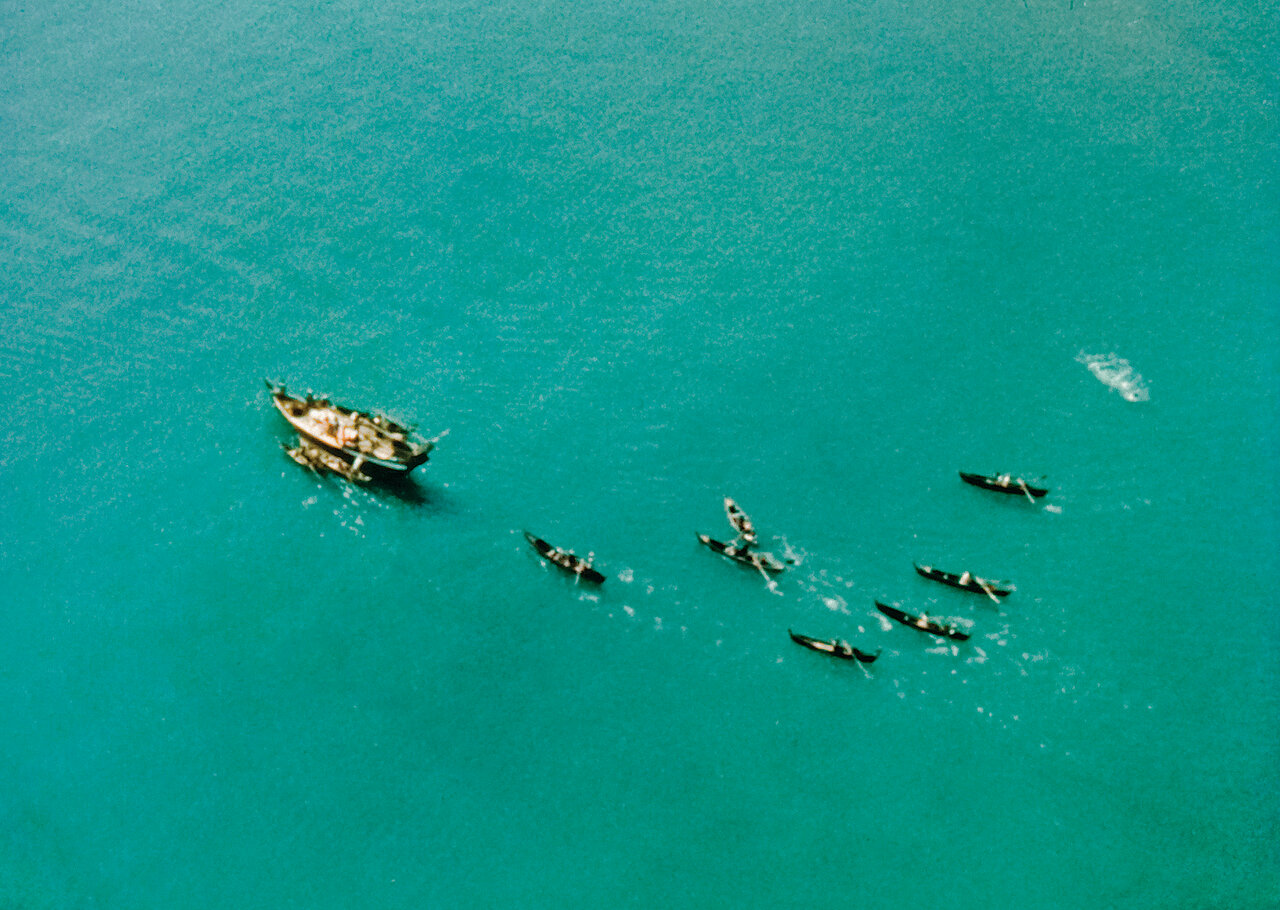 داشتن خانهای در اصفهان رویای کارگردان نامدار فرانسوی | او با باد صبا عاشق ایران شد |
نقد عجیب دولت محمدرضا شاه پهلوی به یک مستند ماندگار تاریخ ایران!