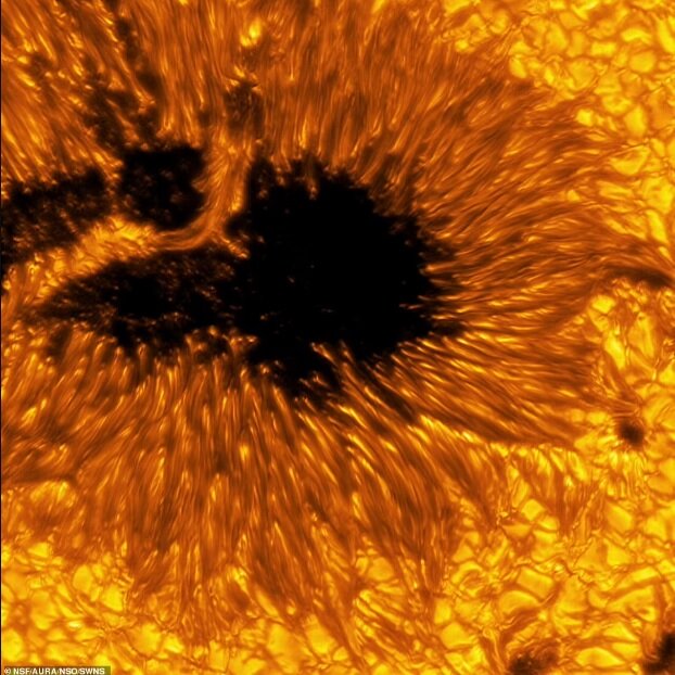 جدیدترین عکس‌های خورشید با جزئیات باورنکردنی | طوفان‌های خورشیدی چه تاثیری روی زمین دارند؟ 