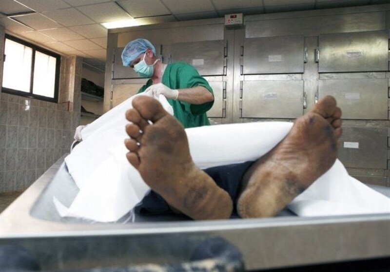 جسد - پزشکی قانونی - سردخانه