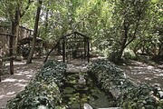 کدام محله تهران بیشترین باغ را داشت؟ | از لویزان تا مبارک‌آباد