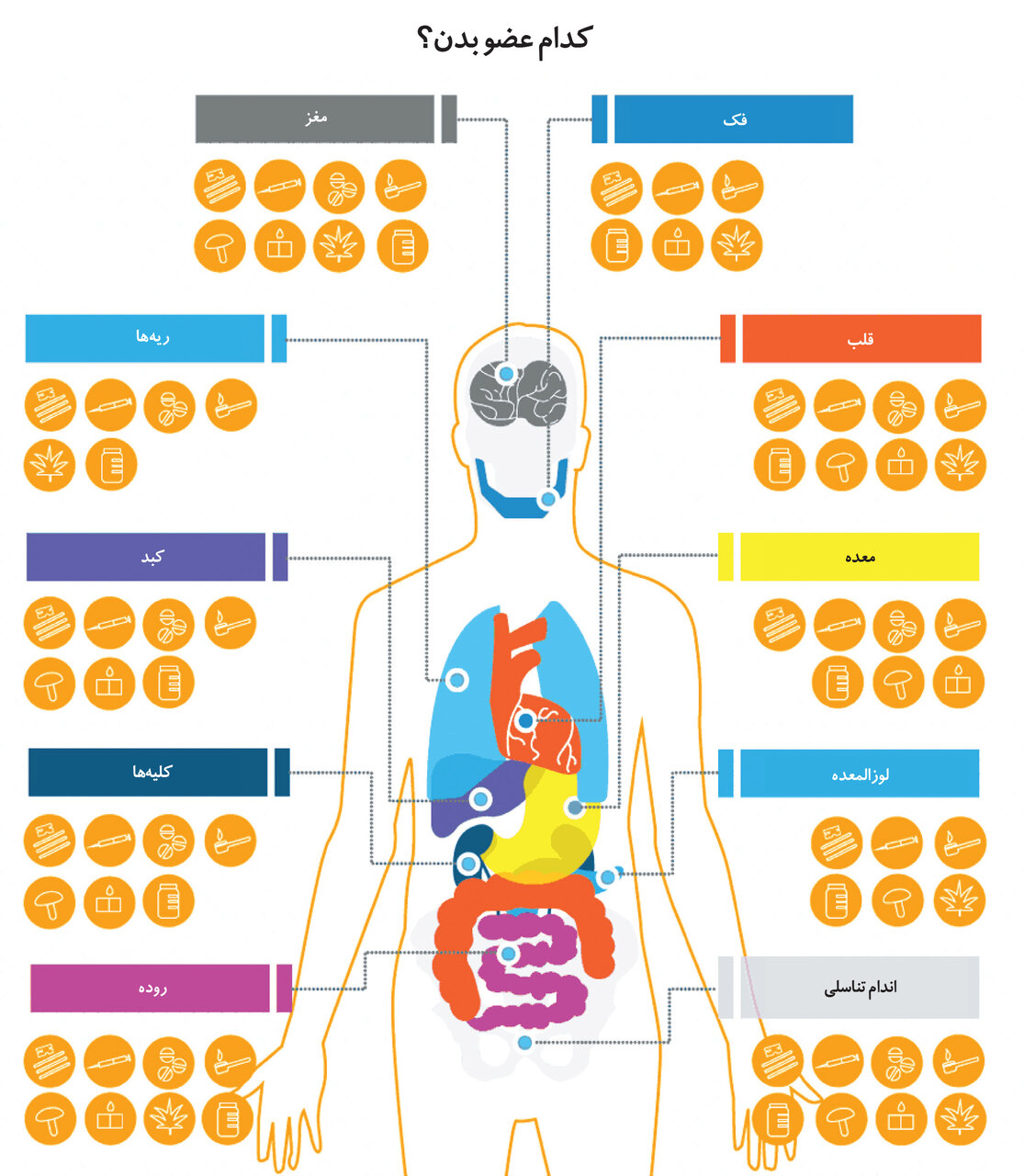 سوء مصرف مواد مخدر چه بلایی بر سر بدنمان خواهد آورد؟