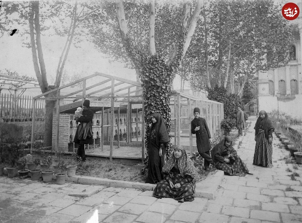 تصاویر ژستهای عکاسی دختر ناصرالدین شاه | عکسهای به جا مانده از عصمتالدوله را ببینید