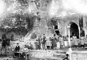 ماجرای پر رمز و راز معروف‌ترین درخت ایران | عمر هزار ساله چنار و پیرمرد به خاطر دعای یک پیر زن!
