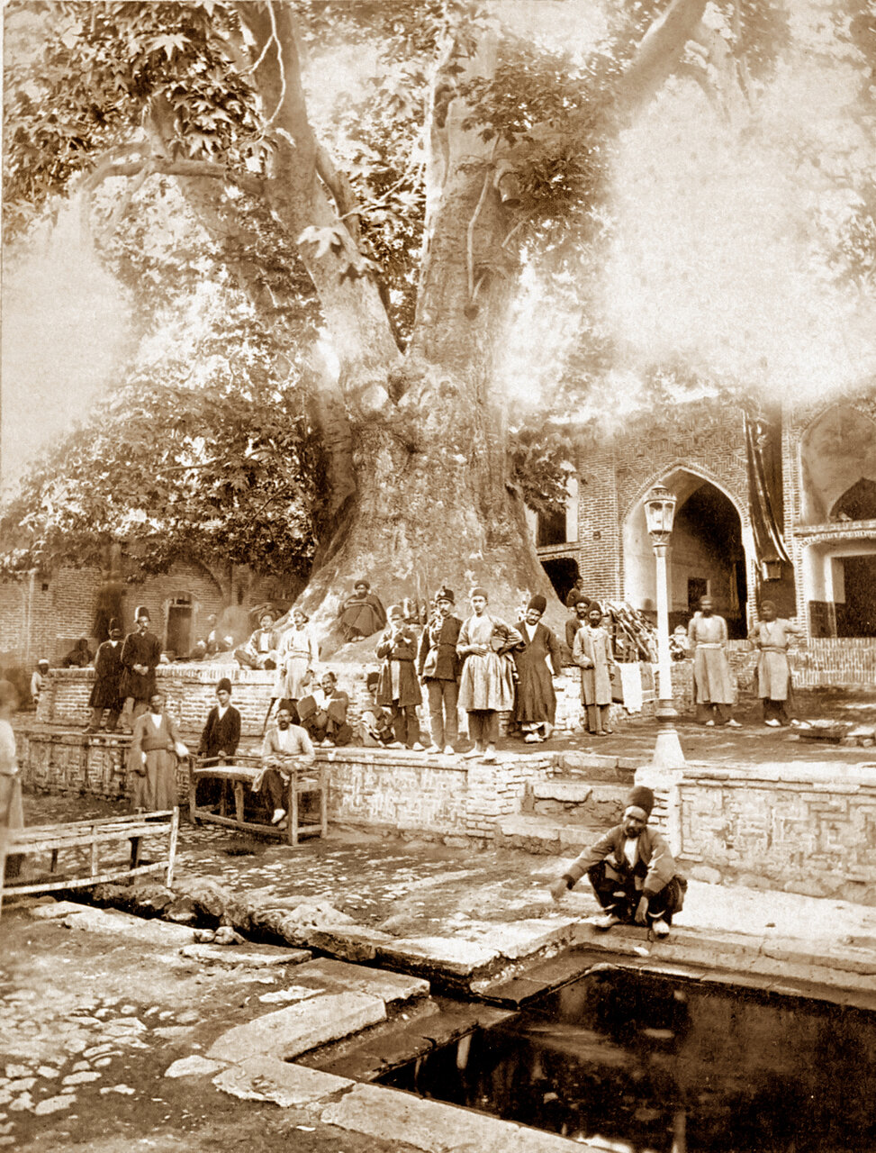 ماجرای پر رمز و راز معروف‌ترین درخت ایران | عمر هزار ساله چنار و پیرمرد به خاطر دعای یک پیر زن!
