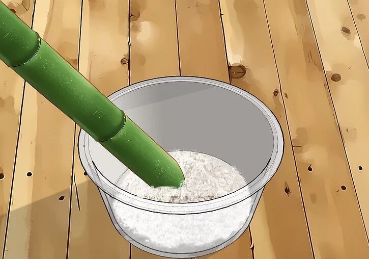 چگونه بامبو را قلمه بزنیم؟