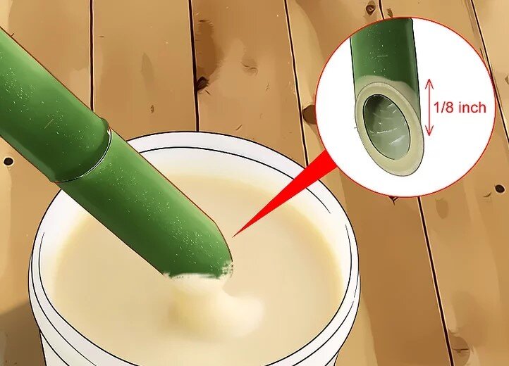 چگونه بامبو را قلمه بزنیم؟