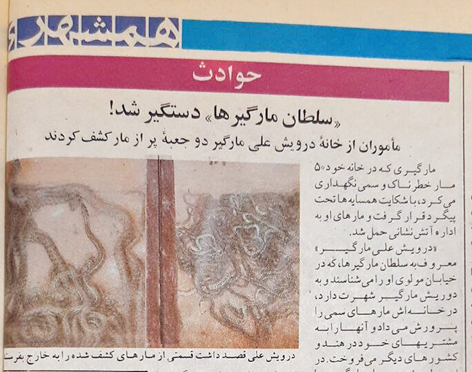 فرار مارها «سلطان مارگیر» را لو داد | مرد تهرانی در خانهاش مارهای سمی و خطرناک پرورش میداد | او این مقدار مار سمی را چه میکرد؟