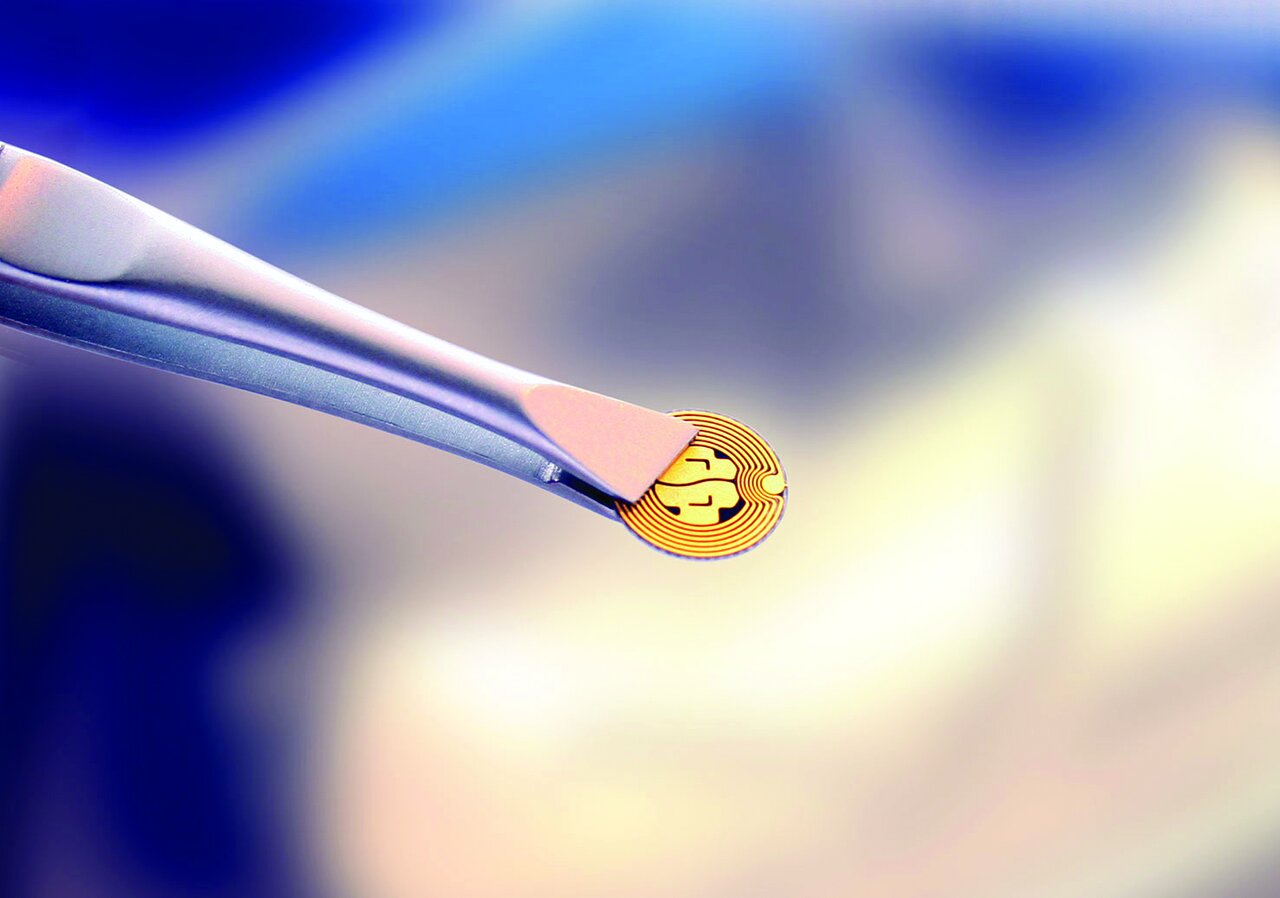 هر جا بروی پیدایت می کنند