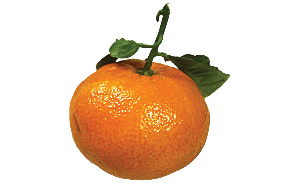 مواد غذایی که سرشار از ویتامین C هستند