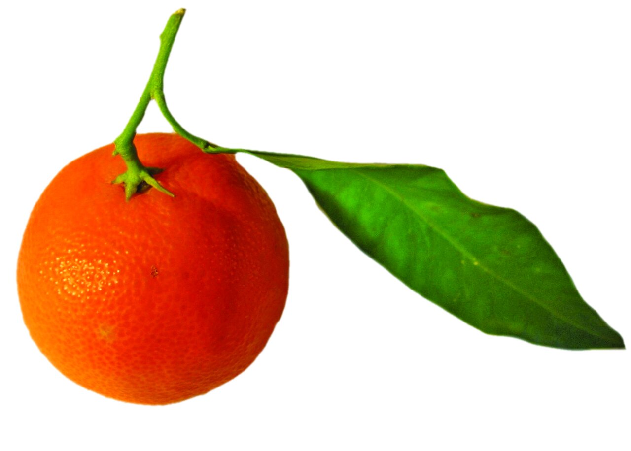 مواد غذایی که سرشار از ویتامین C هستند