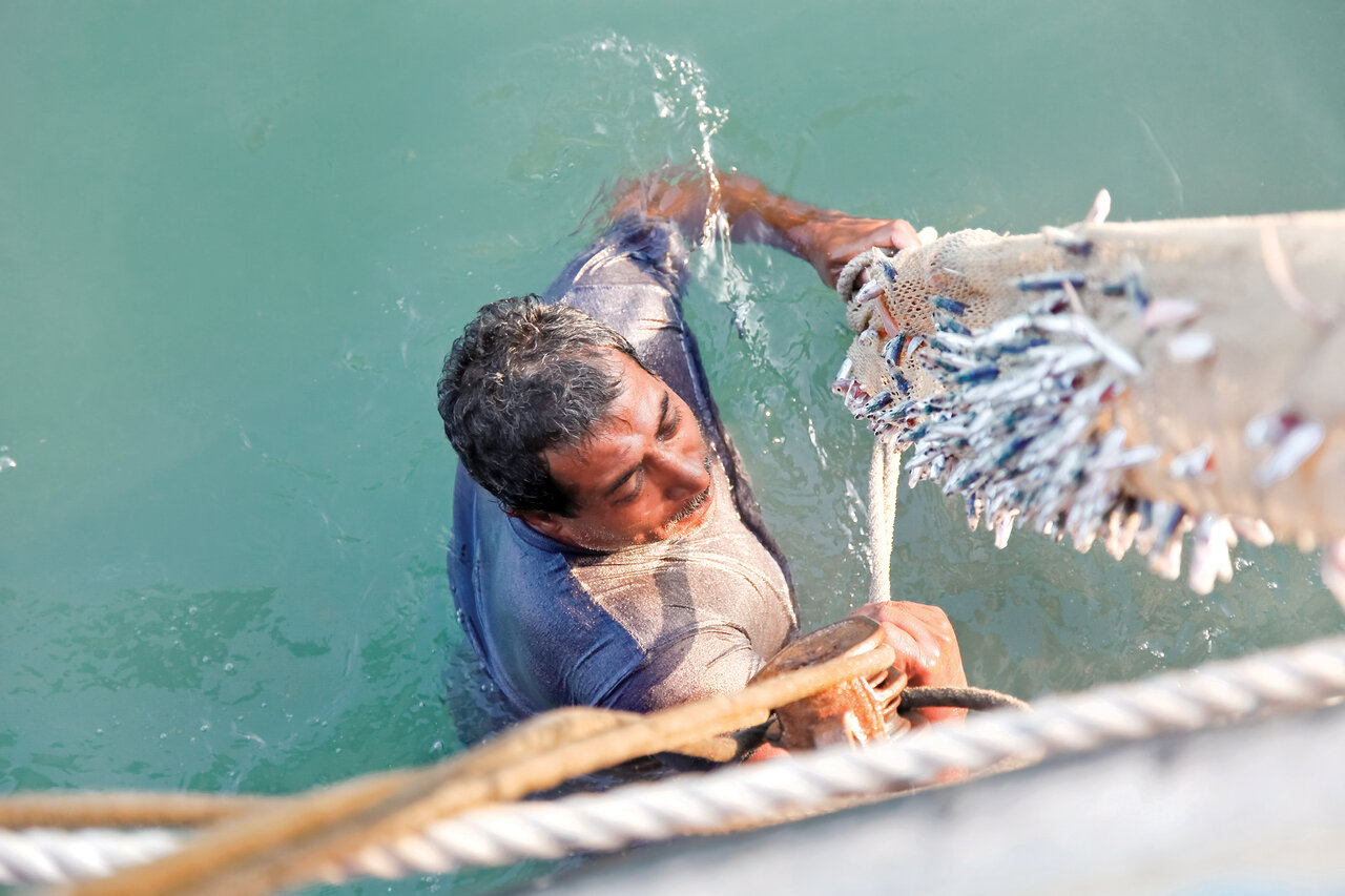 یک روز زندگی با صیادان میگو در خلیجفارس | شکار ملخ دریایی در هرمزگان