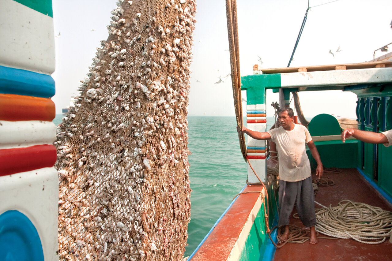 یک روز زندگی با صیادان میگو در خلیج‌فارس | شکار ملخ دریایی در هرمزگان