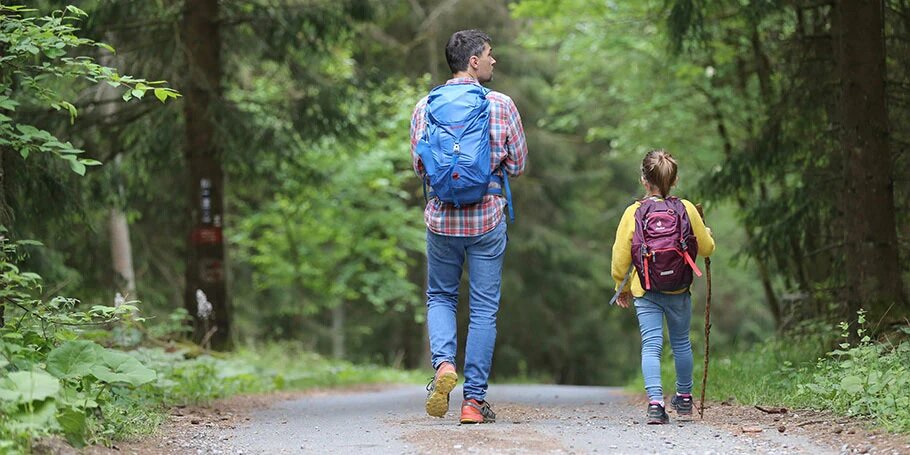 بهترین پماد برای نیش حشرات ؛ پشهها به گروه خونی خاصی علاقه دارند؟ | با این روشها از گزیدگی در طبیعت دور بمانید