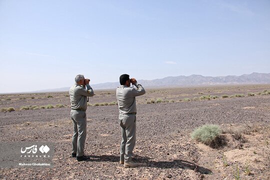 گورهای ایرانی در پارک ملی کویر
