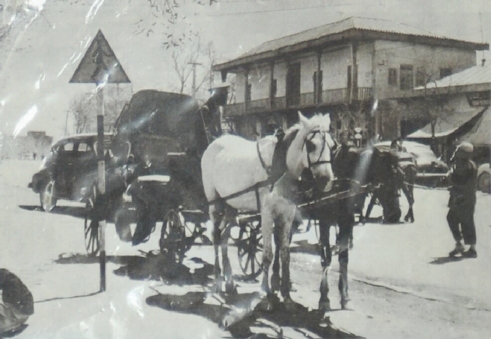 تجریش تا تهران دربست با درشکه