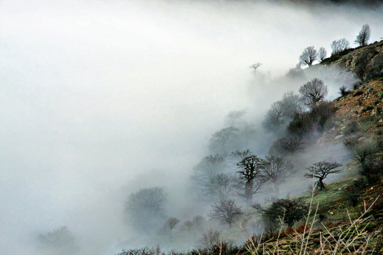 زیباترین جنگل سلطنتی دنیا که ورودش برای ایرانیها آزاد و رایگان است