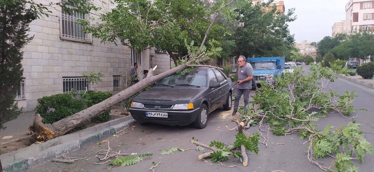  وضعیت ترافیک پایتخت درپی وقوع توفان | سقوط چندین درخت و تابلوی تبلیغاتی