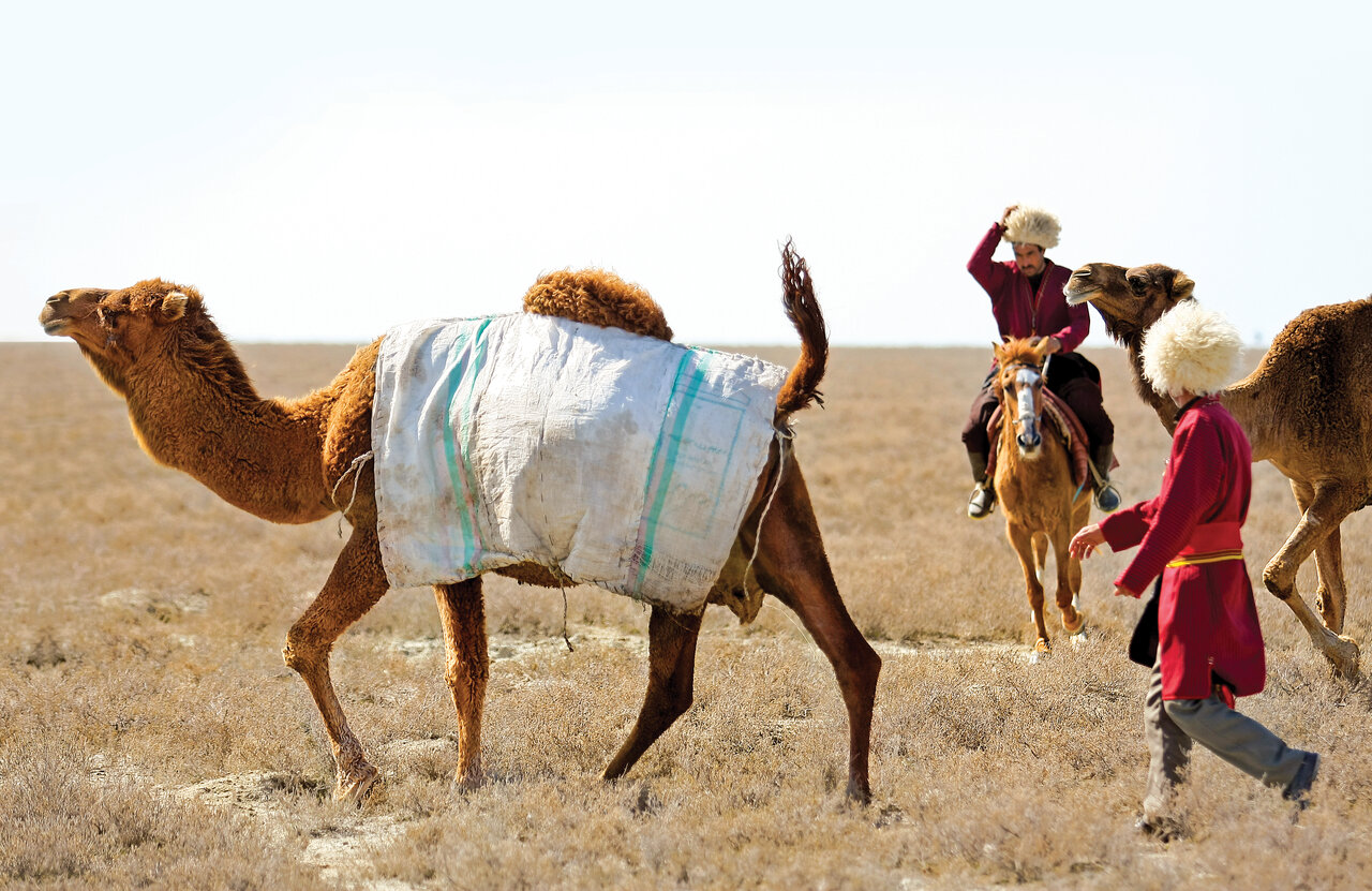 عروس سرخ پوش سوار بر مرکب سرخ موی