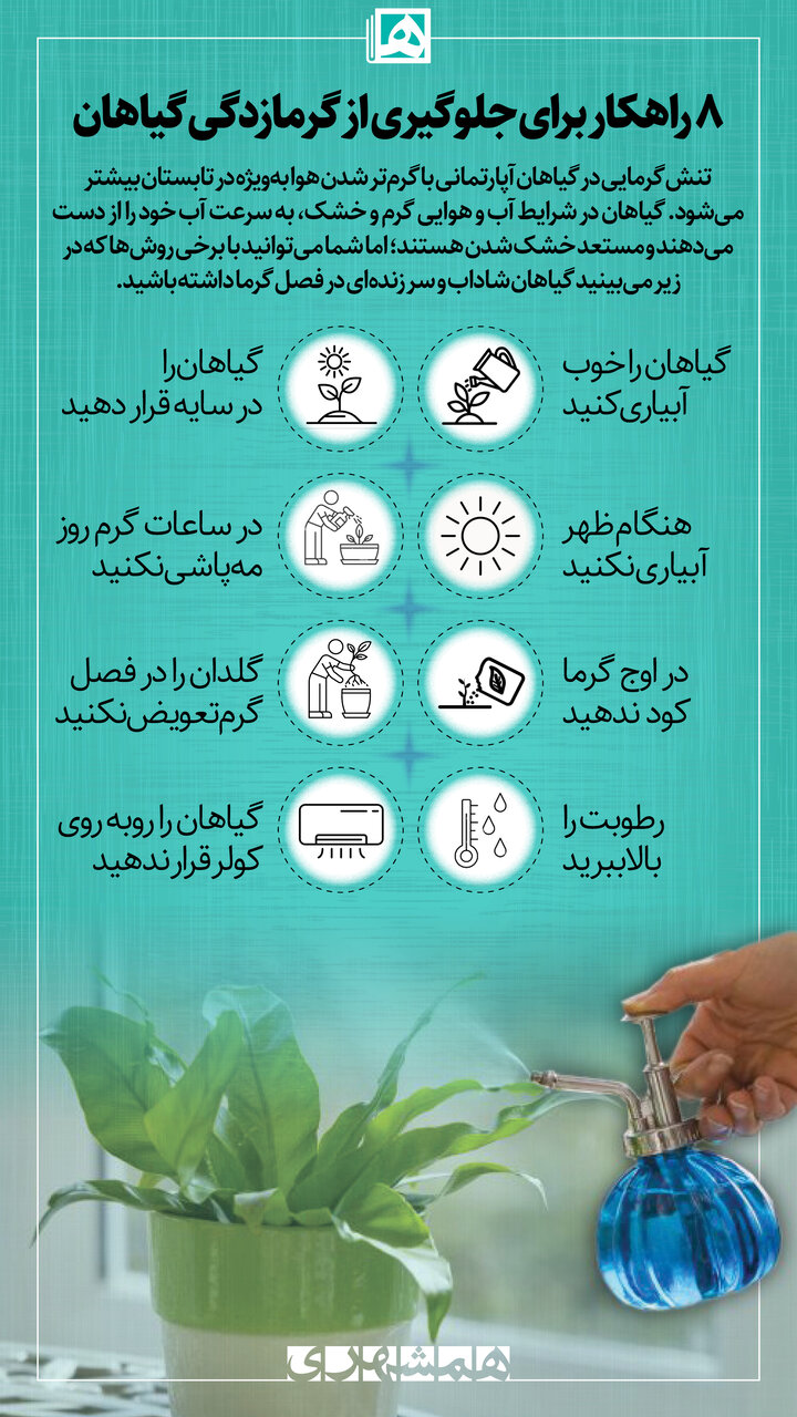 ۸ راهکار برای جلوگیری از گرمازدگی گیاهان