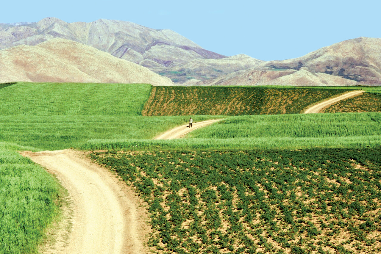 عکاس مطرح ایتالیایی: ایران زیباترین نقطه جهان است