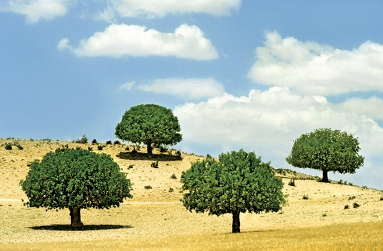 عکاس مطرح ایتالیایی: ایران زیباترین نقطه جهان است