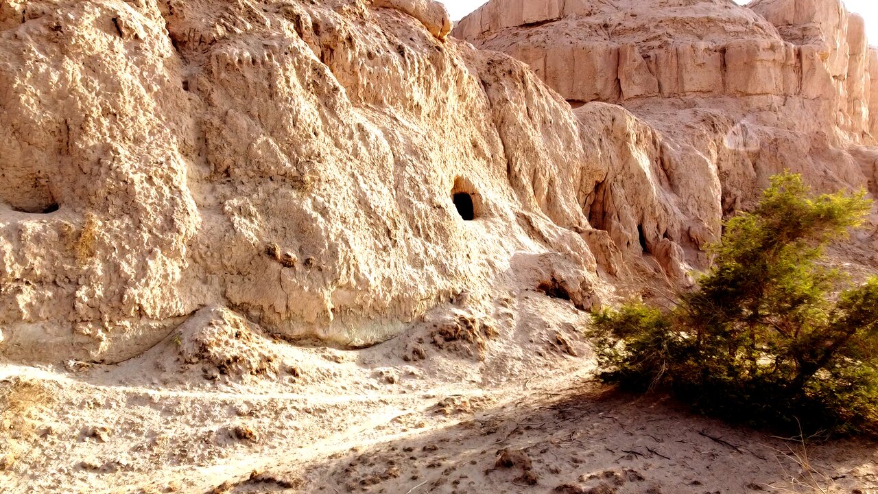 در جستوجوی معبد گمشده