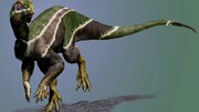 این هیولای بی‌آزار ۹۹ میلیون ساله چیست؟ | کشف یک دایناسور جدید به نام ایانی اسمیتی