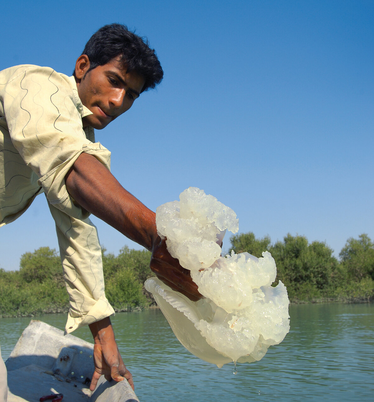 عروس دلبری که قاتل از آب درآمد