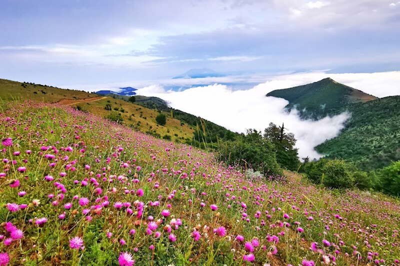 ۱۷ مکان در ایران که اقیانوس ابر میخکوبتان میکند | بازدید از درههایی رویایی با پیالههای شیر!