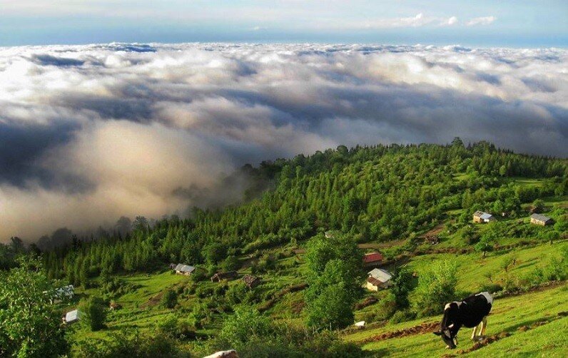 ۱۷ مکان در ایران که اقیانوس ابر میخکوب‌تان می‌کند | بازدید از دره‌هایی رویایی با ‌پیاله‌های شیر!