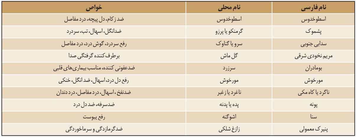 کوهستانی که شفا میدهد! | به این شهر ایران سفر کنید تا بیماریتان درمان شود