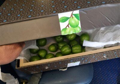 امحای هدایای علی اف به رئیس رژیم صهیونیستی از ترس ترور