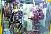 نقاشی‌های ترسناک قصاب اهوازی روی گوشت‌های تر و تازه مغازه