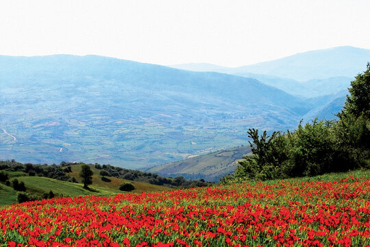 غرب تا شرق دريای مازندران