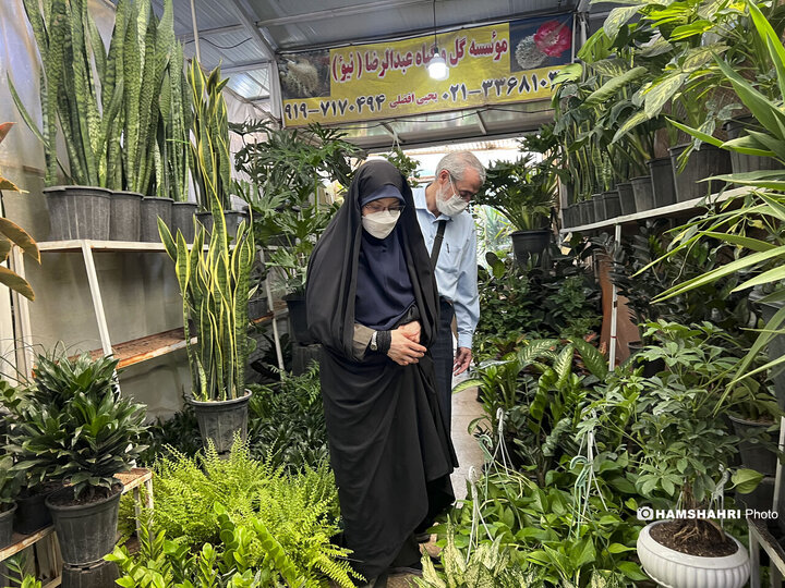 بازار گل محلاتی تهران
