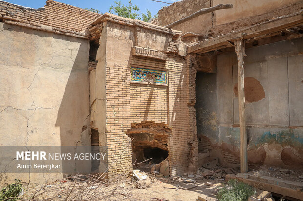 تصاویر | هشدار به شیرازی ها؛ جولان «سالَک» در محله «سنگ سیاه»