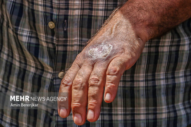 تصاویر | هشدار به شیرازی ها؛ جولان «سالَک» در محله «سنگ سیاه»