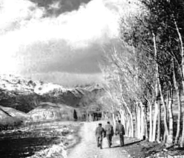 قلعه پرماجرای ونک